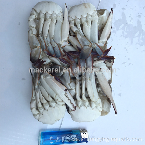 Frozen Cut Swimming Crab in bester Qualität